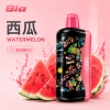 BIA 35000