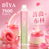 DIYA 7500 拋棄式