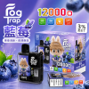 Fog Trap 12000