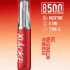 XIAOKE 口紅款 8500