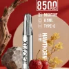 XIAOKE 口紅款 8500