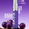 XIAOKE 口紅款 8500