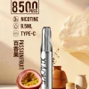 XIAOKE 口紅款 8500