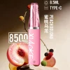 XIAOKE 口紅款 8500