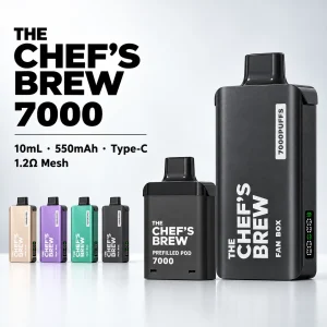 拋棄式電子煙｜廚師佳釀 7000口｜3ml防漏磁吸 Type-C快充【7種口味】